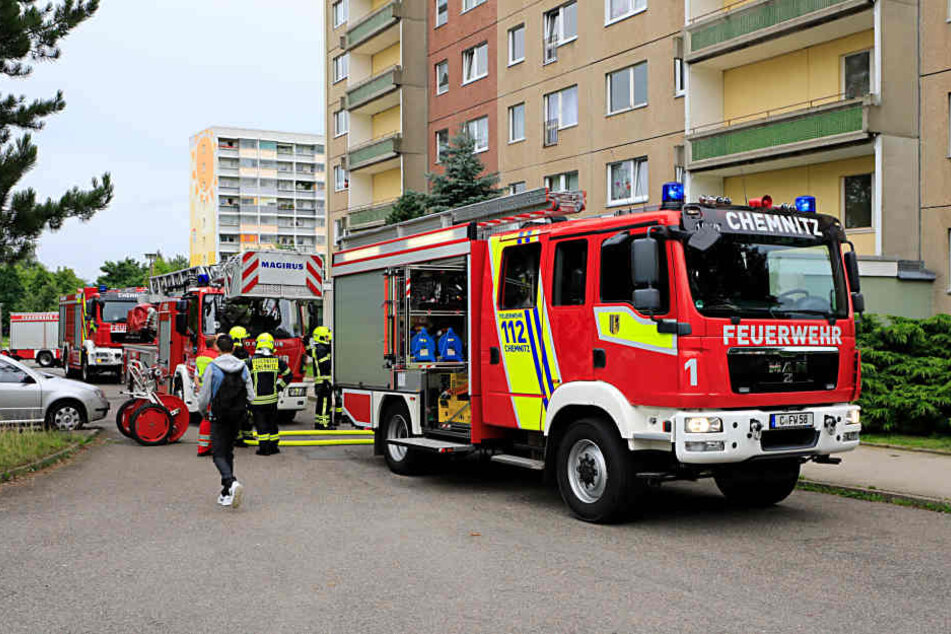 Die Feuerwehr rückte zu einem Kellerbrand am Harthwald aus.