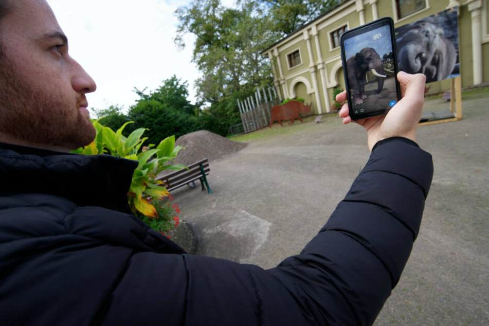 Ein Nutzer testet die Snapchat-Funktion im Kölner Zoo.