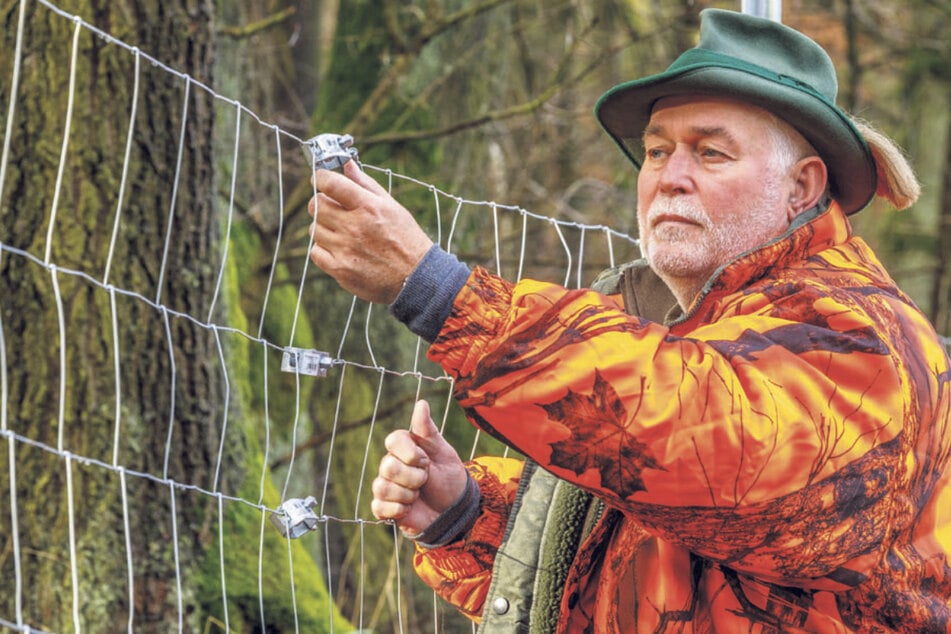 Kritisch prüft Stephan Boden (69), ob die Verbinder an den Wildzäunen richtig gespannt sind.