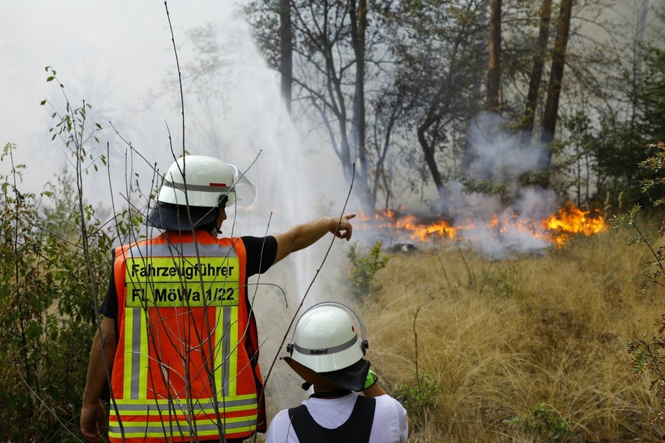Einsatzkräfte der Feuerwehr löschen einen Waldbrand zwischen Mörfelden-Walldorf (Kreis Groß-Gerau) und dem Frankfurter Flughafen.