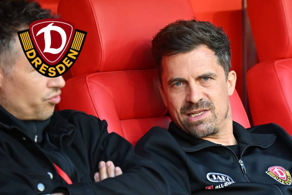 Thomas Stamm zieht Saisonfazit: Das war Dynamos Erfolgsgeheimnis