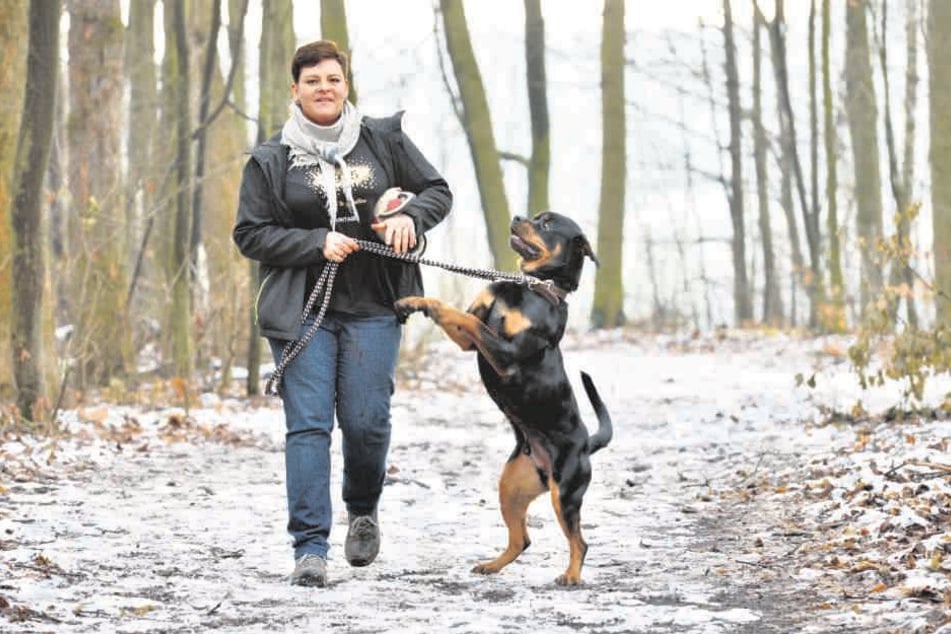 Tierheim-Leiterin Anja Witzmann (34) würde Rottweiler Puma (3) keinem Laien an die Leine geben.