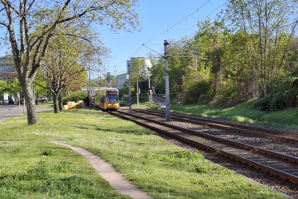 Am Bahnübergang Rosenstraße sind am Mittwochnachmittag eine Tram und ein Radfahrer zusammengestoßen.