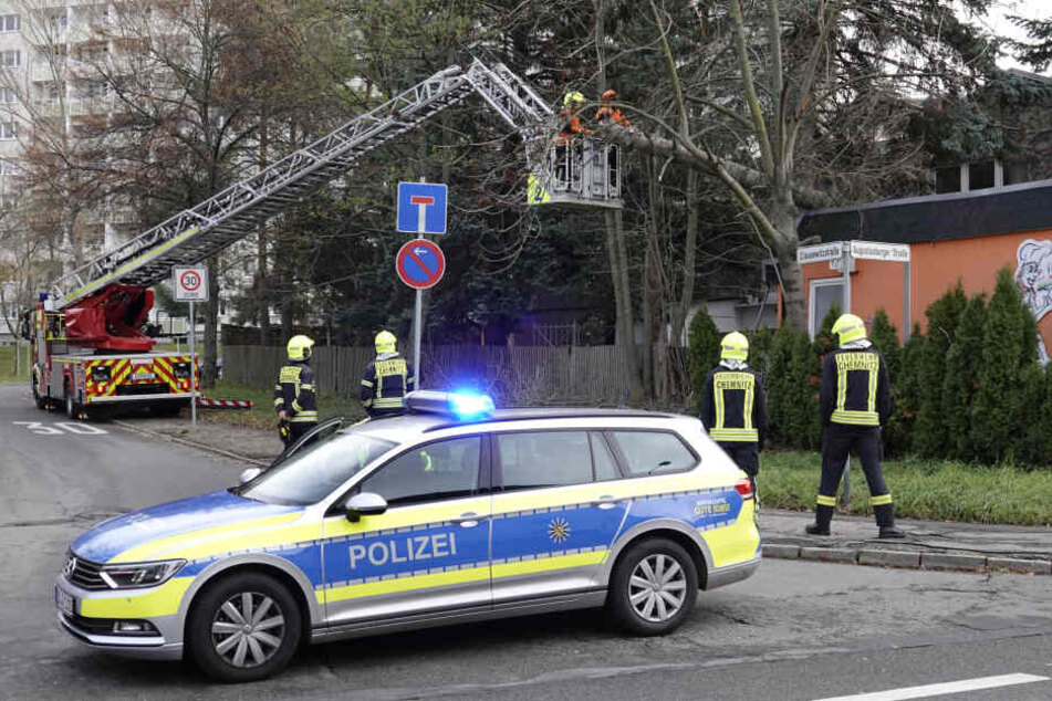 Die Fichte stürzte auf den Imbiss an der Kreuzung Augustusburger Straße/Clausewitzstraße.