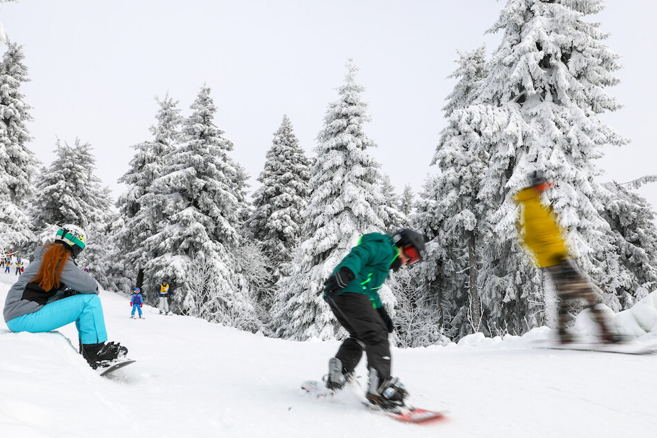 Junge Wintersportler fahren durch den Winterwald auf dem Fichtelberg.