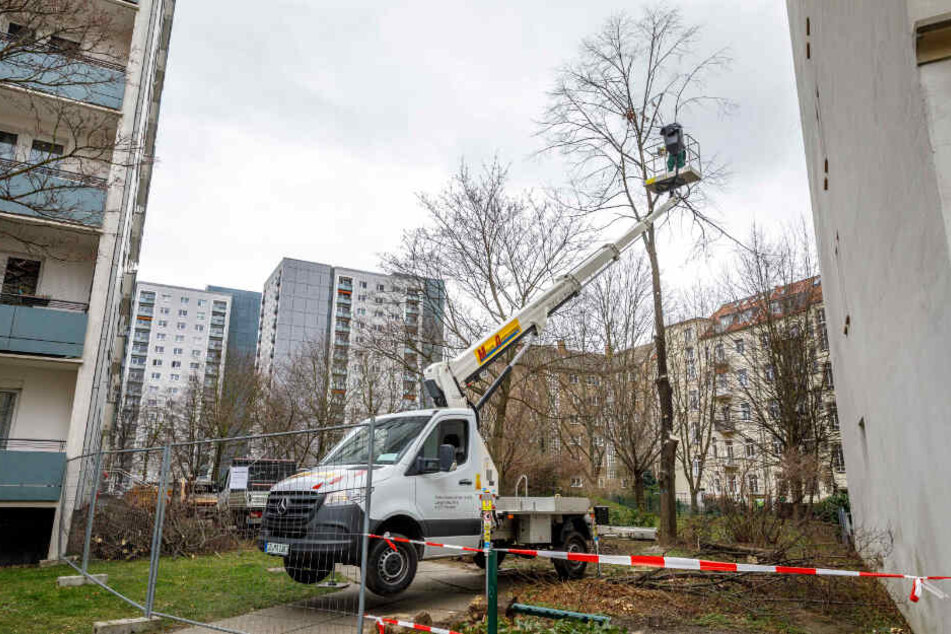 Dresden Ärger in der Johannstadt Anwohner kämpfen gegen