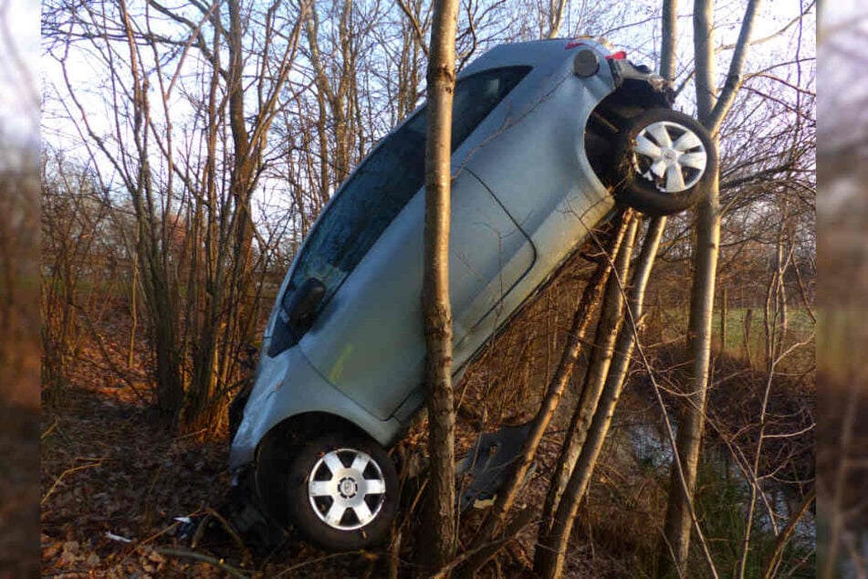 Das Auto hing zwischen den Bäumen fest.