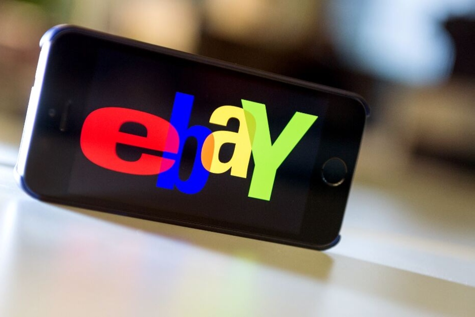 Ein Mitarbeiter der Stadt Ahlen verkaufte den kleinen Hund bei der Auktionsbörse Ebay. (Symbolbild)