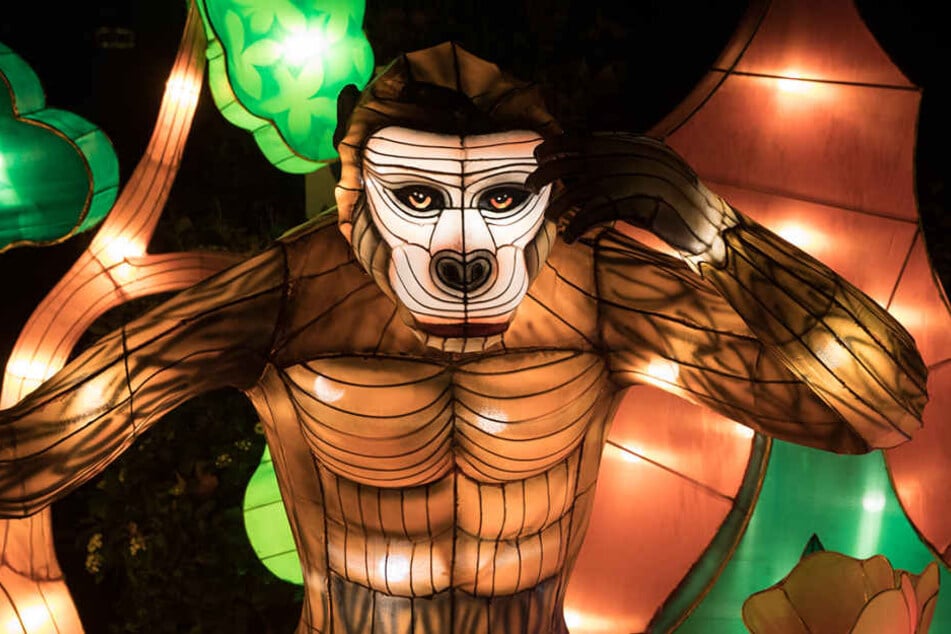 Eine der Leuchtfiguren anlässlich des China Light-Festivals im Kölner Zoo.