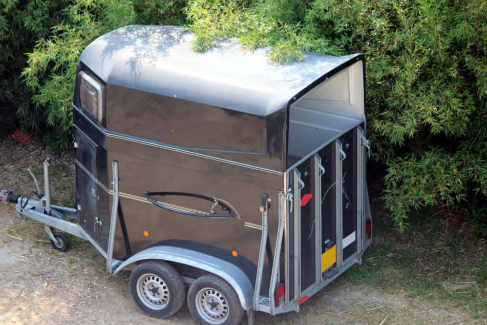 Das Kokain soll jeweils in einem Geheimfach in einem Pferdetransporter versteckt worden sein.