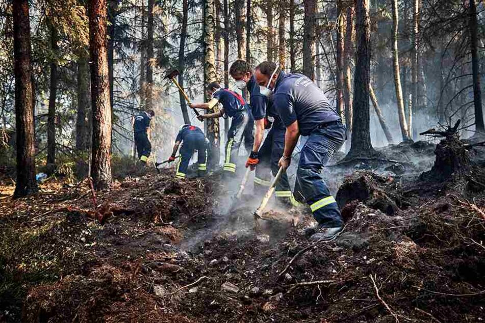 Insgesamt 19 mal brannte es 2018 im Nationalpark – 17 mal waren illegale Lagerfeuer die Ursache.