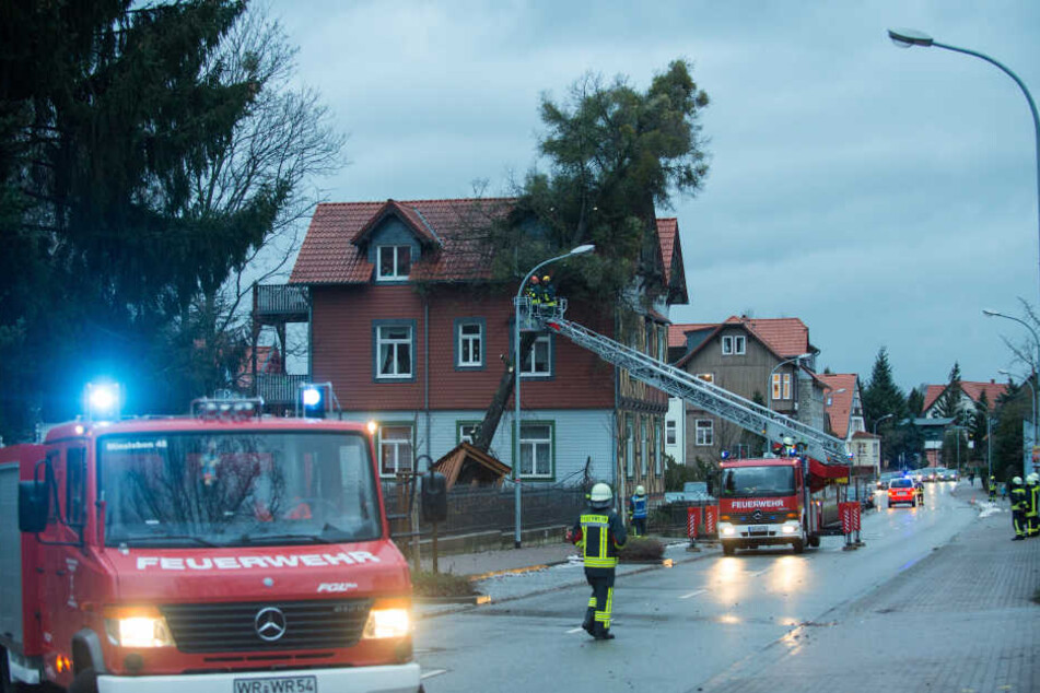 Orkan "Friederike" verwüstete auch Sachsen-Anhalt. In Benndorf und Hohnemölsen sind zwei Männer ums Leben gekommen.