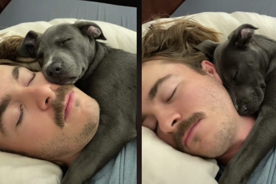 Herrchen und Tier schlummerten aneinander gekuschelt im Bett.