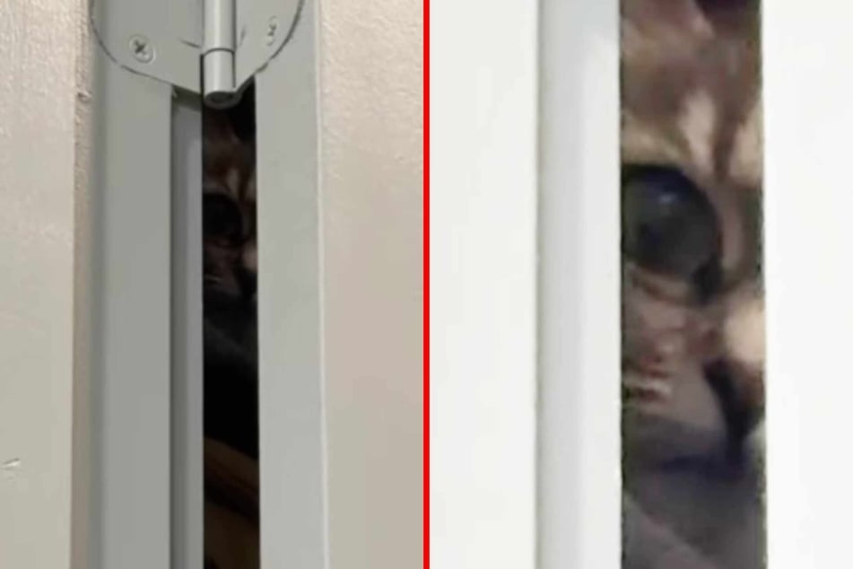 Sasha prefers privacy while she's doing her "business" – don't we all? But she found someone staring at her through the crack in the bathroom door... who is it?