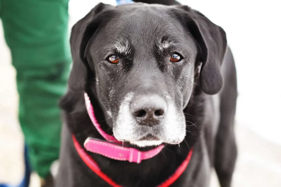 Isak erblickte im Januar 2013 das Licht der Welt.