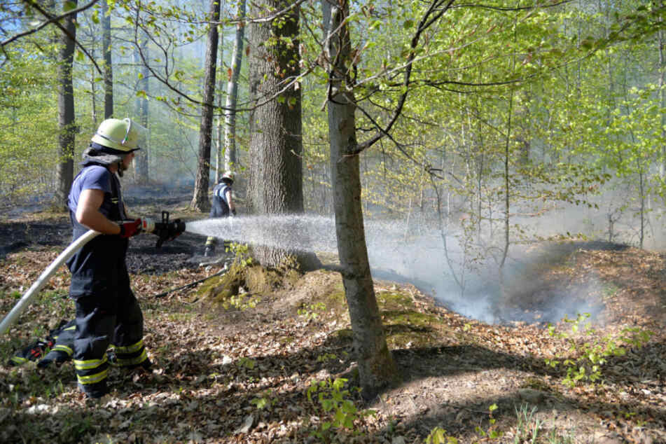Bei 36 Waldbränden sind in diesem Jahr neun Hektar Wald vernichtet worden. (Symbolbild)