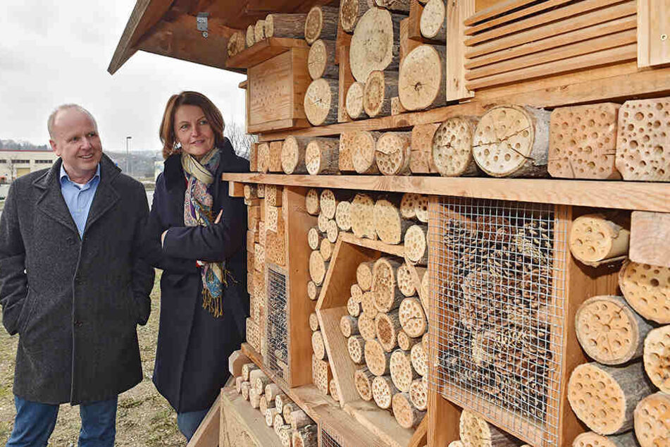 Ralf Strothteicher (55) und Gunda Röstel (57) von der Stadtentwässerung am neuen Insektenhotel.