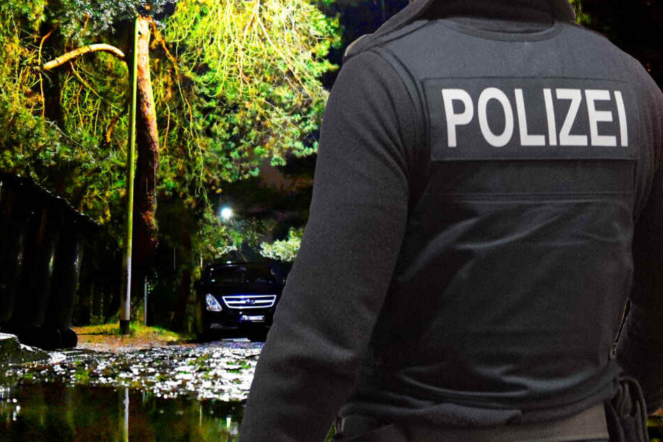 Die Sex-Attacke erfolgte am Sonntagabend auf einem Waldparkplatz in Darmstadt (Symbolbild).