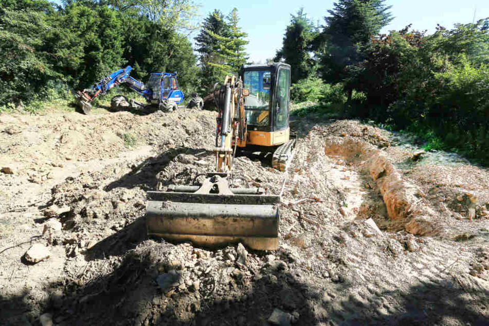 Bagger graben - begleitet von einem Leichenspürhund - einen verwahrlosten großen Garten samt zugewachsenem Teich um.