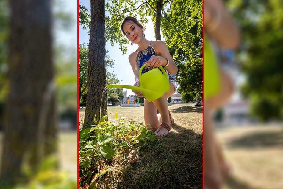 Schon zehn Liter pro Woche können einem jungen Baum helfen. TAG24-Reporterin Isabel Möller (22) greift gern zur Gießkanne.