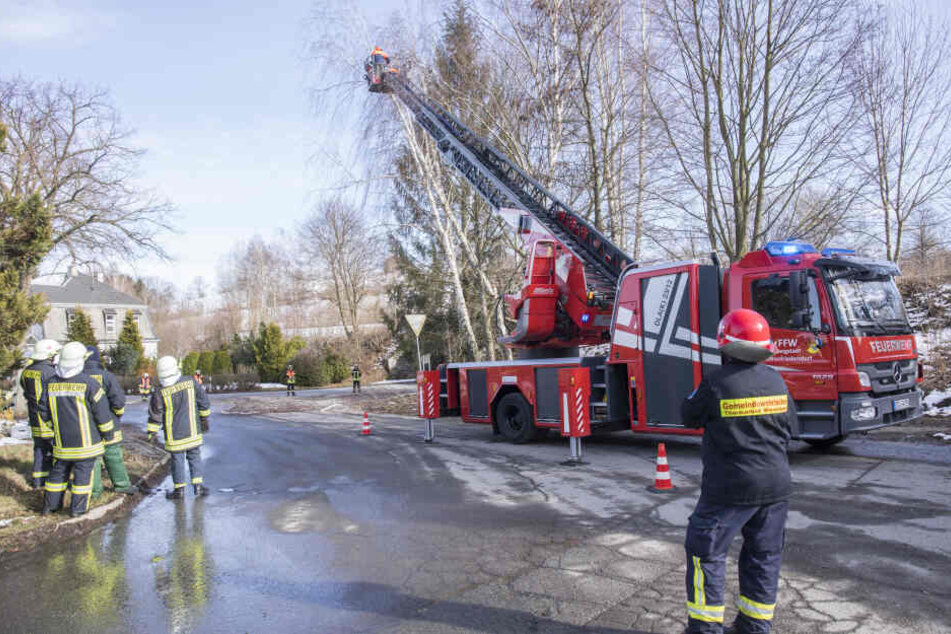 In Wiesa musste die Feuerwehr nach dem Sturm zwei Bäume abtragen.