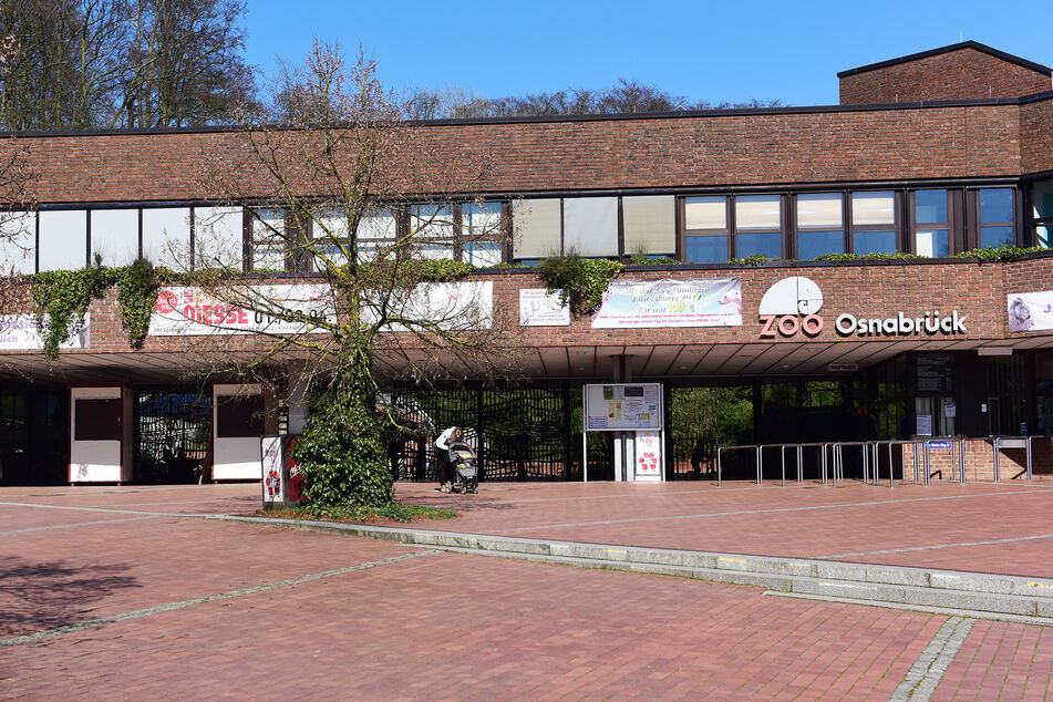 Der Osnabrücker Zoo ist im Moment geschlossen (Archivbild).