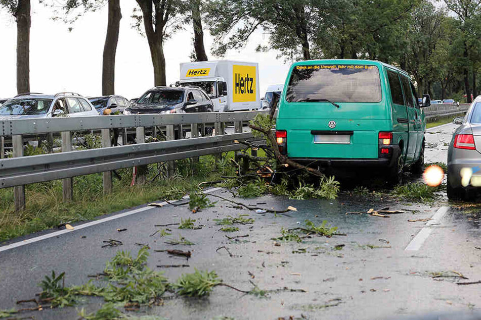 Nach Starkregen und starken Winden behindern umgestürzte Bäume und abgebrochene Äste auf der Bundesstraße 1/5 in Höhe Hoppegarten den Feierabendverkehr.