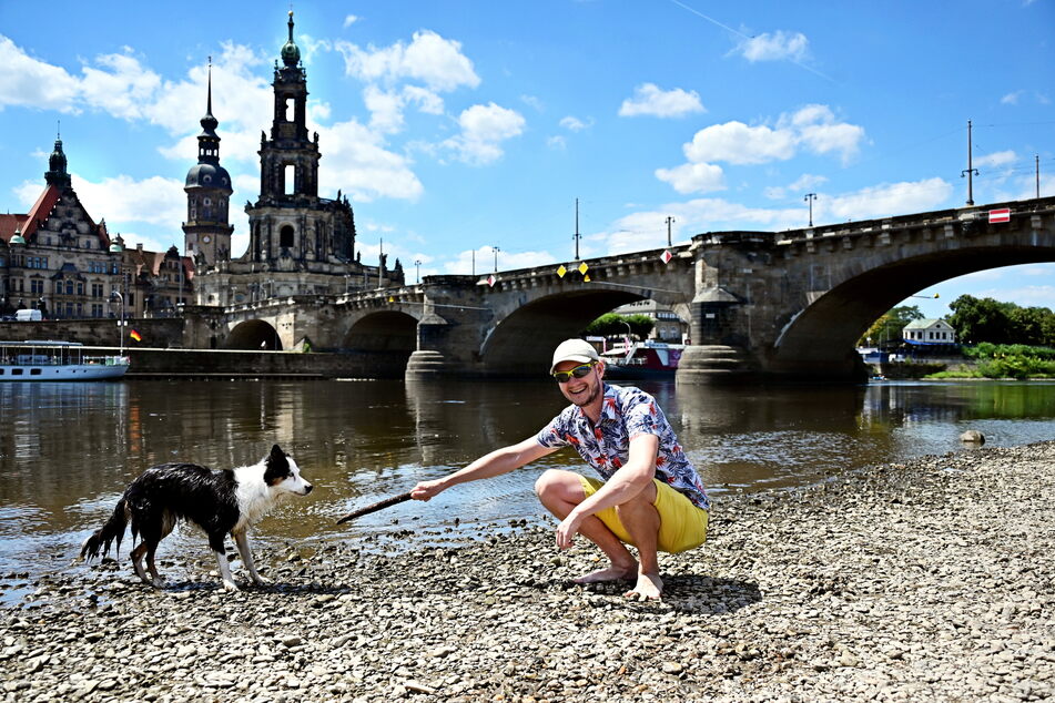 Es ist nicht das erste Mal, dass Miloš (38) einen Stock für Hündin Rony (11) in die Elbe wirft.