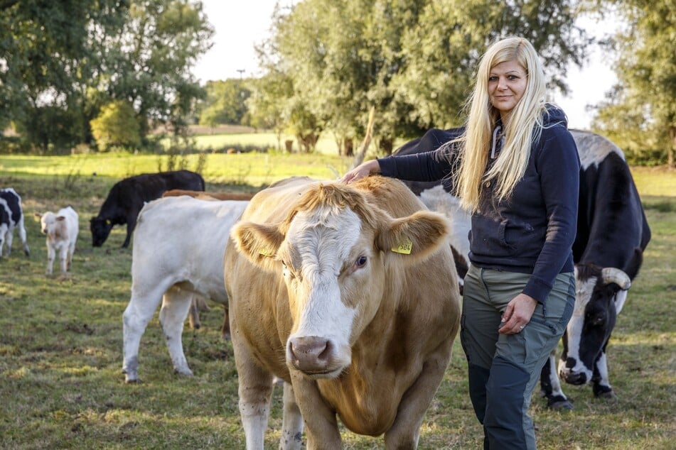 Mit ihr ging alles los: Vor elf Jahren rettete Conny Böttger die Kuh ihres Großvaters namens Bella (12).