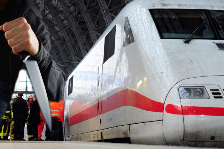 Der Intercity war auf dem Weg nach Westerland und hatte im Hauptbahnhof frankfurt gestanden (Symbolbild).