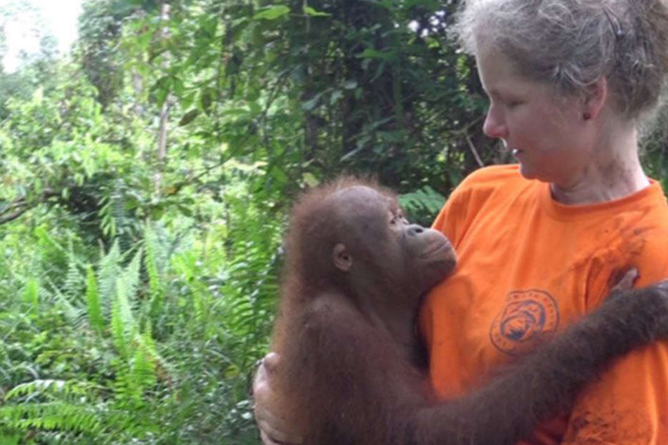 Auf ihrer Forschungreise in Borneo erlebte die Tierschützerin hautnah, wie schlimm es um die Zukunft der Orang-Utans steht.