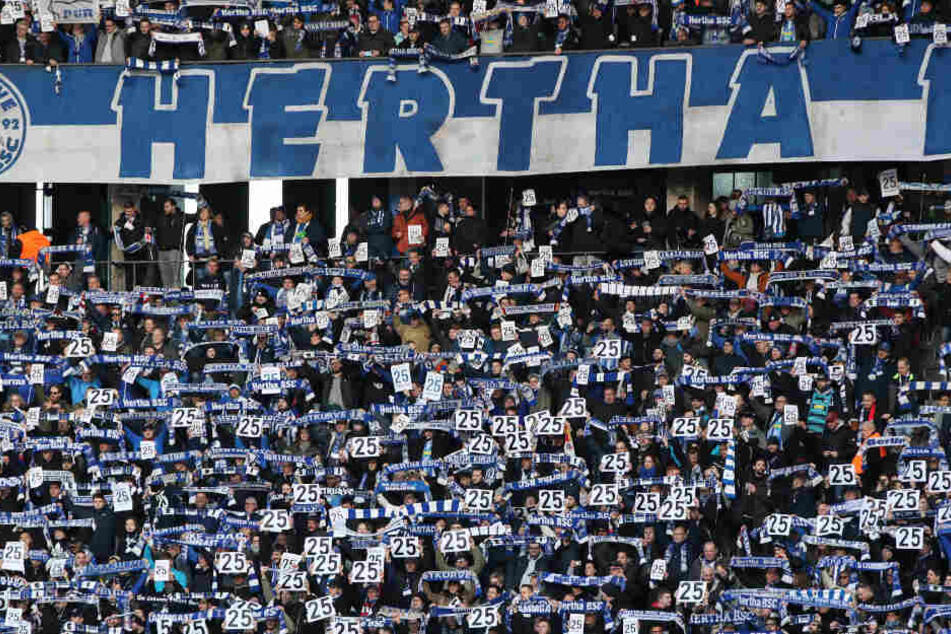 Fans halten Schilder mit Torunarighas Rückennummer 25 hoch.