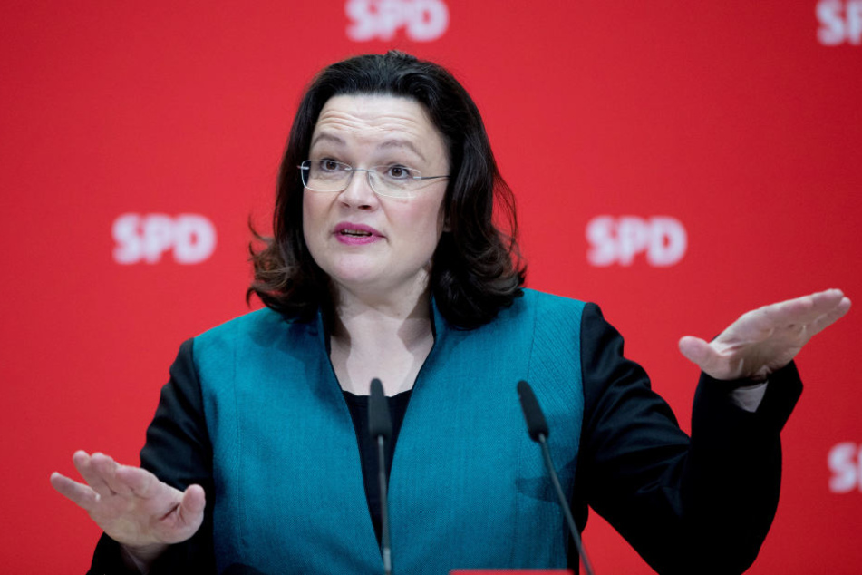 Bundesarbeitsministerin Andrea Nahles (SPD) hat an der Entwicklung des Projekts mitgearbeitet. Wird es die Wahl überleben?