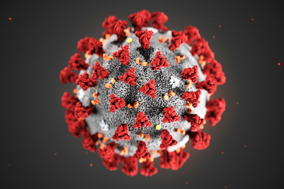 Eine Illustration des Coronavirus.
