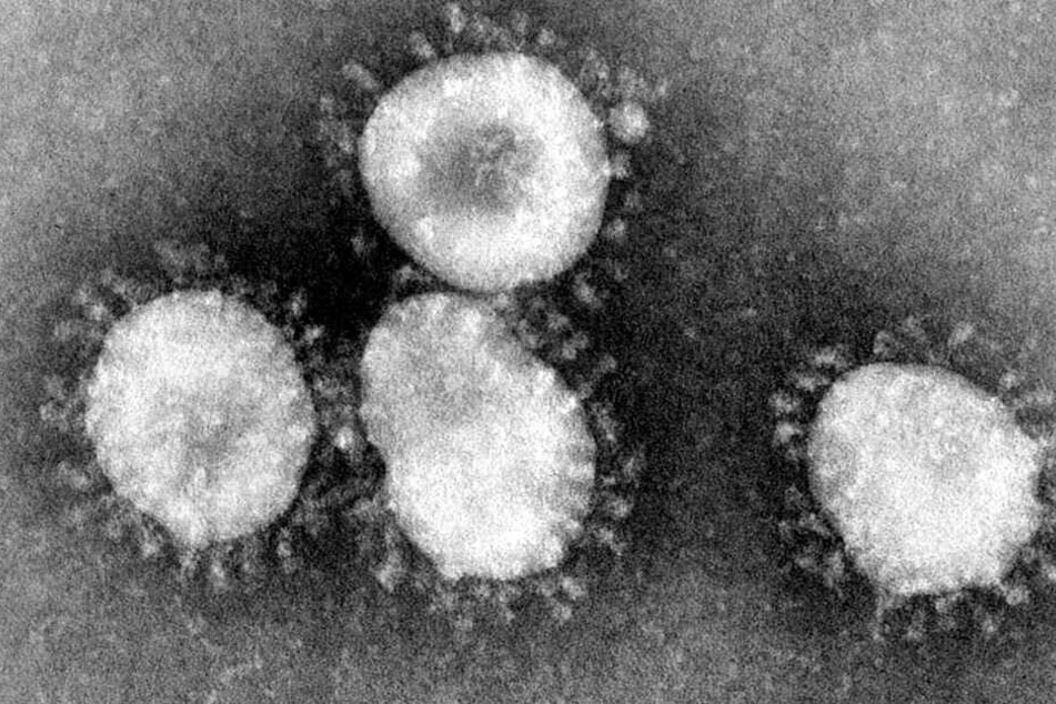Dieses undatierte Handout des amerikanischen Centers for Disease Control (CDC) zeigt einen Coronavirus unter dem Mikroskop.