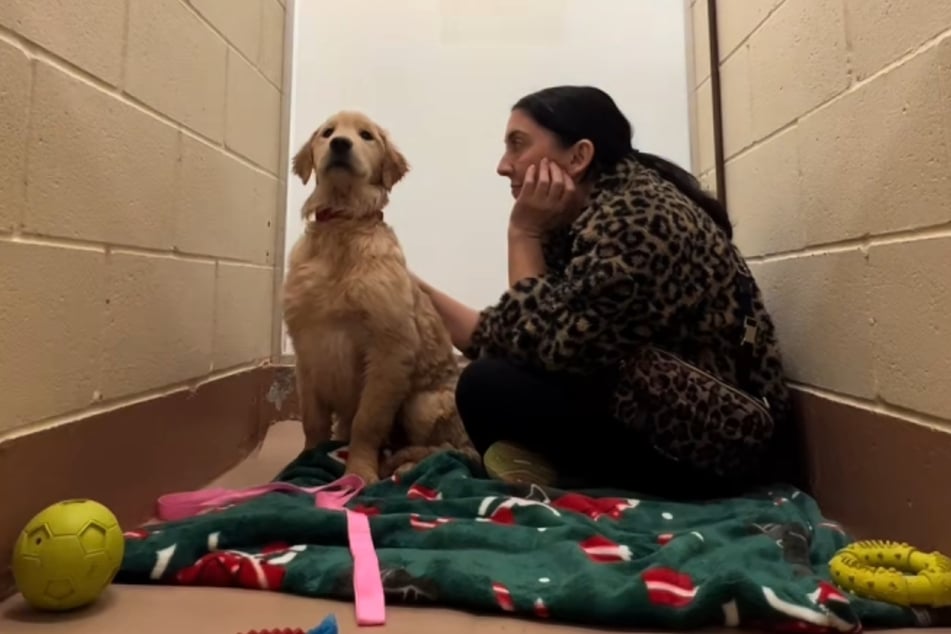 Ein Standbild zeigt nicht, was hier gerade passiert. Im Video ist es umso besser zu sehen: Der junge Waffles zittert in diesem Moment wie verrückt in seinem Zwinger.