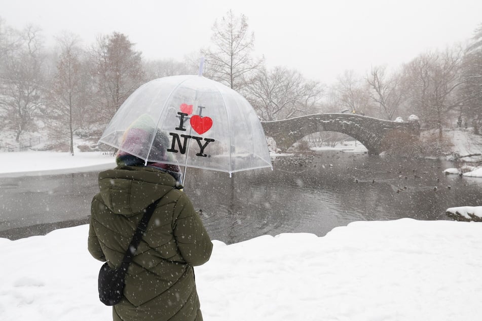 A person holds an umbrella as snow falls in Central Park in New York City on January 25, 2026.