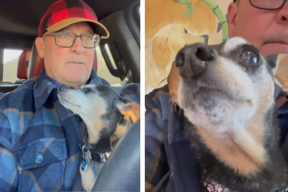 Gerard took a terrified Piper to the vet, but it's unclear whether the dog learned his lesson.
