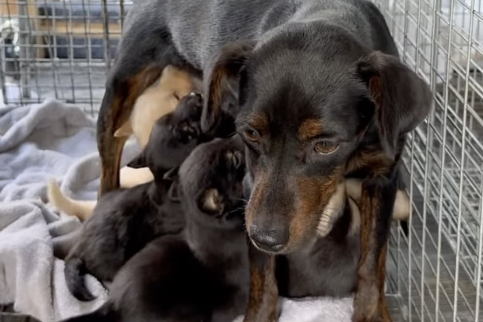 Die Familie ist wieder beieinander.