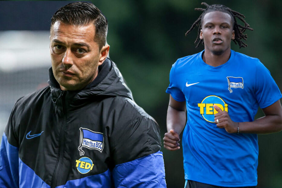 Trainer Ante Covic hofft auf den Einsatz von Dedryck Boyata.