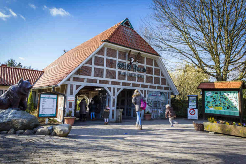 Wildpark Lüneburger Heide: Hier ist das neue Zuhause vom kleinen Wolf.