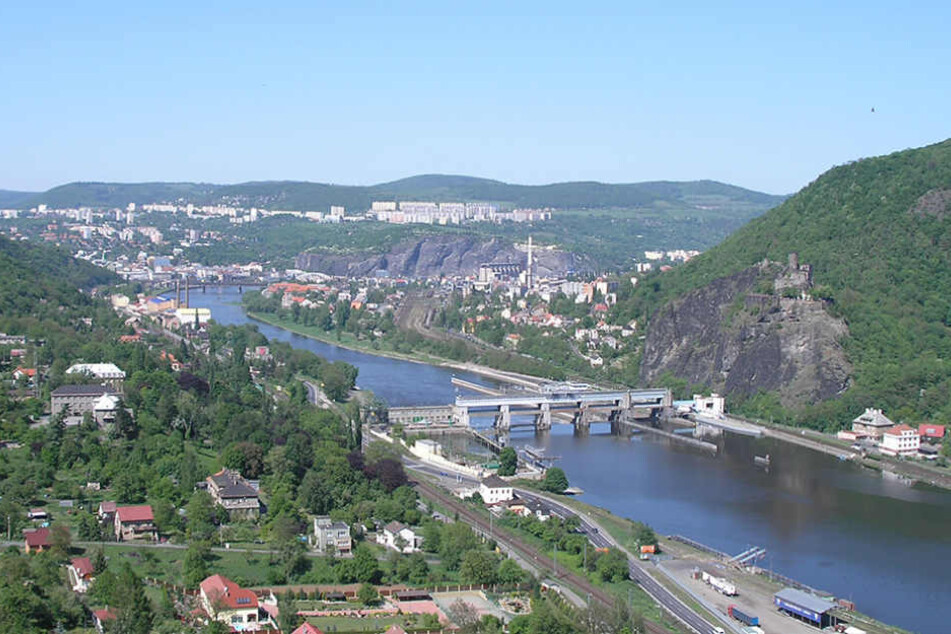 Die Elbe bei Usti: Hier wurden erschreckend viele Grundeln aus dem Wasser gezogen.