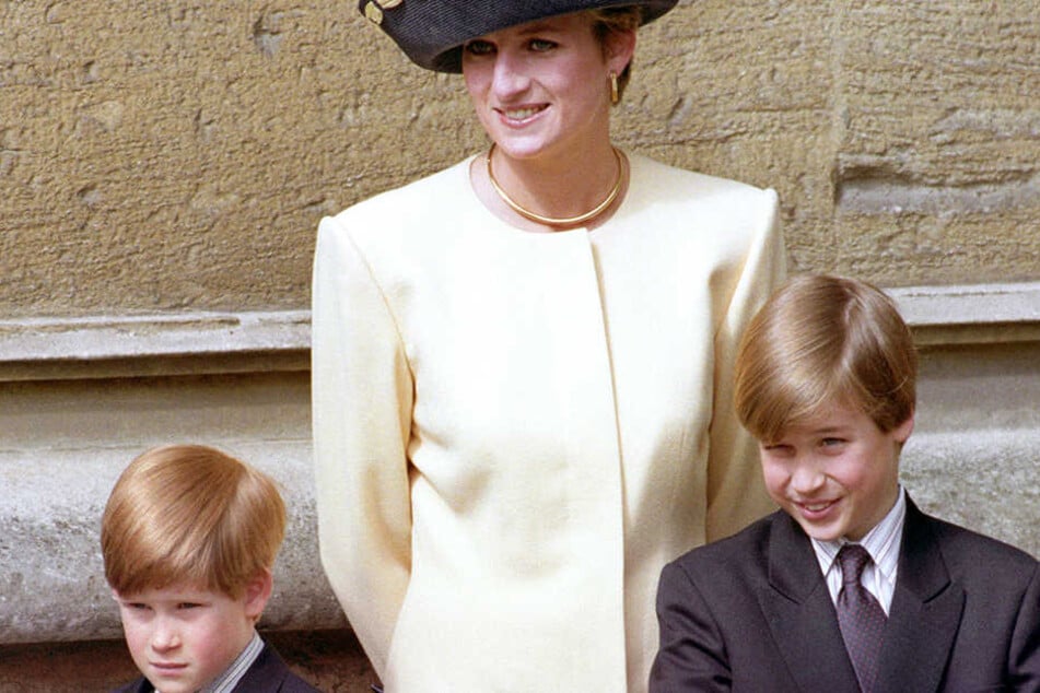 Harry und William zu Lebzeiten ihrer geliebten Mama.