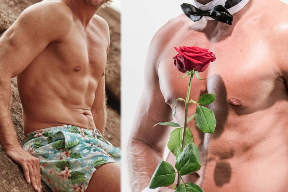 Sensation bei "Bachelor in Paradise"! Dieser Rosenkavalier ist wieder dabei