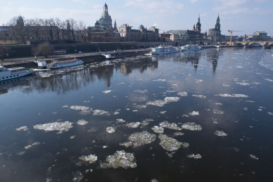 Eisschollen treiben auf der Elbe in Dresden.