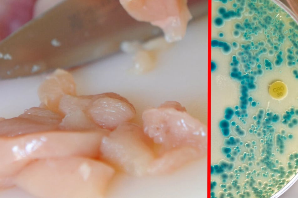 Mit dem bloßen Auge natürlich nicht zu erkennen, aber solche multiresistenten Keime können sich auf Hähnchenfleisch befinden und uns auch krank machen. (Bildcollage)