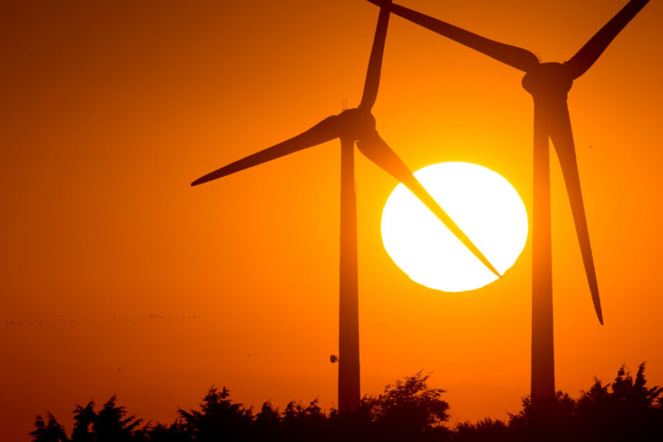 Tschüß, Klimaziele? Windkraftausbau in Schleswig-Holstein stockt