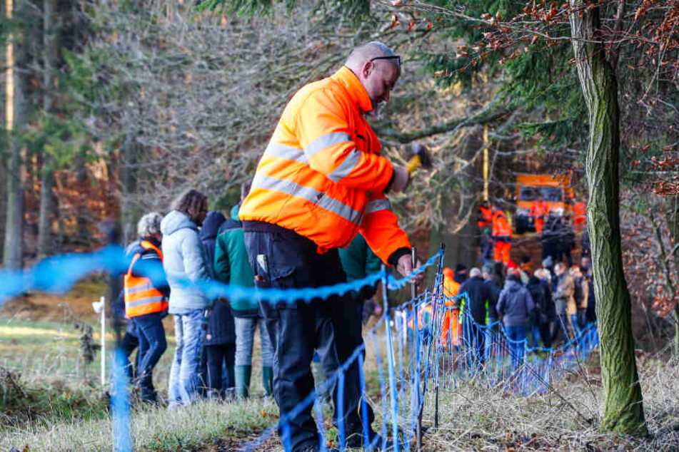 Hier übt Hans Klaue (54) vom Veterinäramt Bautzen das Aufstellen eines Elektro-Wildabwehrzaunes.