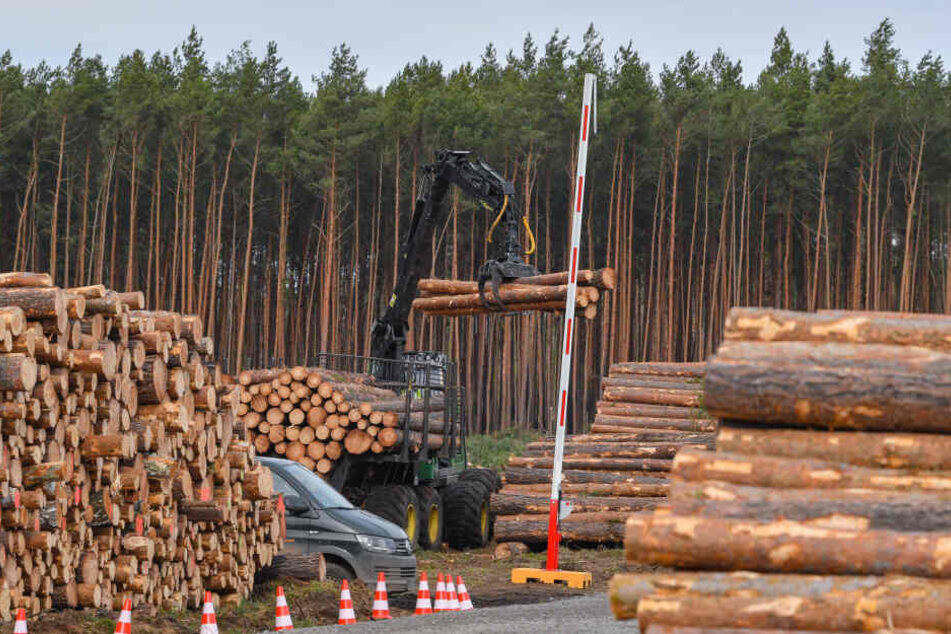 Umwelt-Schützer belagern Tesla-Gelände: Polizei-Hubschrauber und Spezialeinheiten im Einsatz
