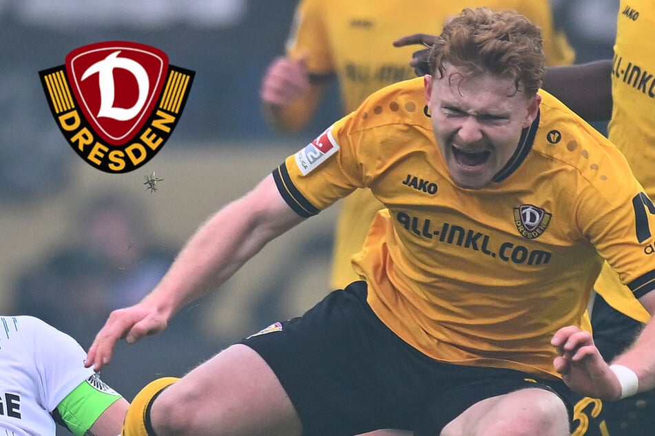 Dynamos Leihspieler machen den Unterschied! Warum es für Wagner & Co. so gut läuft